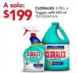City Club Cloralex Baños oferta