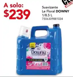 City Club Downy Le Floral oferta