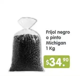 Arteli Frijol negro o pinto Michigan oferta
