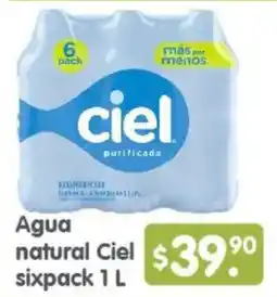 Arteli Agua natural Ciel oferta