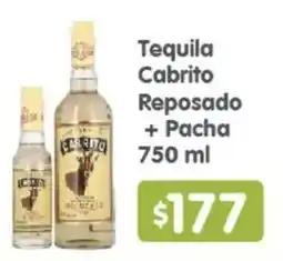 Arteli Tequila Cabrito Reposado + Pacha oferta