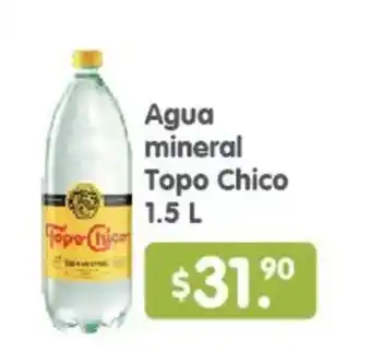 Arteli Topo Chico Agua mineral oferta