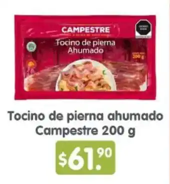Campestre tocino de pierna ahumado