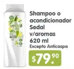 Arteli Sedal shampoo o acondicionador v/aromas oferta
