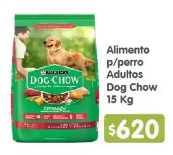 Arteli Purina Dog Chow oferta