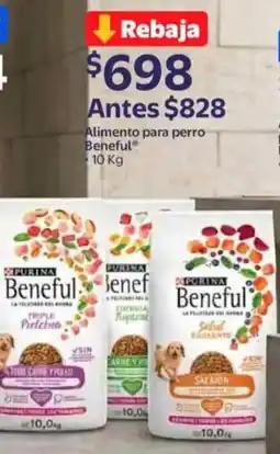 Walmart Beneful Alimento para perro oferta