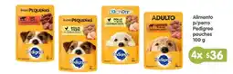Arteli Pedigree Alimento p/perro pouches oferta