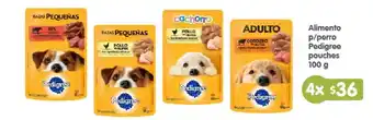 Arteli Pedigree Alimento p/perro pouches oferta