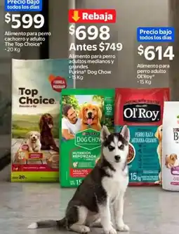 Walmart Purina Dog Chow oferta