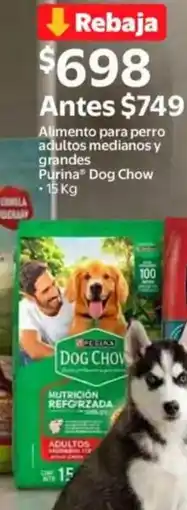 Walmart Purina dog chow oferta