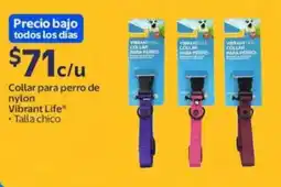 Walmart Vibrant life collar para perro de nylon oferta