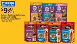 Walmart Express Ol'roy o special kitty oferta