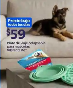 Walmart Vibrant life plato de viaje colapsable para mascotas oferta
