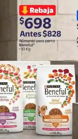 Walmart Express Purina beneful alimento para perro oferta
