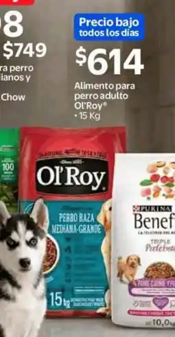 Walmart Express Ol'roy alimento para perro adulto oferta