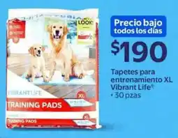 Walmart Express Vibrant life training pads oferta