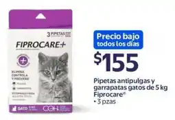 Walmart Express Fiprocare+ pipetas antipulgas y garrapatas gatos oferta