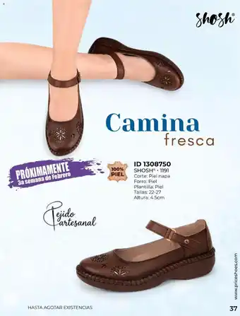 Shosh Camina fresca