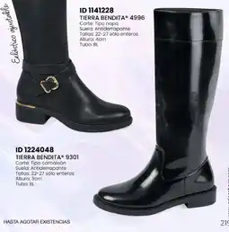 Price Shoes Tierra Bendita 4996 oferta