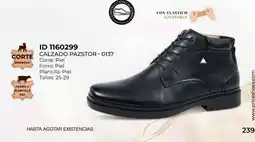 Price Shoes Calzado Pazstor 0137 oferta