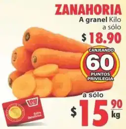 Casa Ley Zanahoria oferta