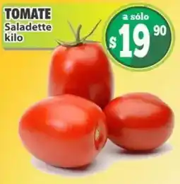Casa Ley Tomate Saladette oferta