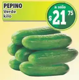 Casa Ley Pepino Verde oferta