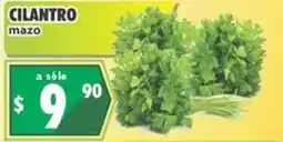 Casa Ley cilantro mazo oferta