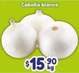 El Florido Cebolla blanca oferta