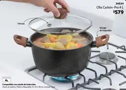 BetterWare Olla Carbón-Pro 4 L oferta
