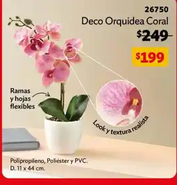 BetterWare Deco Orquidea Coral oferta