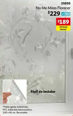 BetterWare No Me Mires Florecer oferta