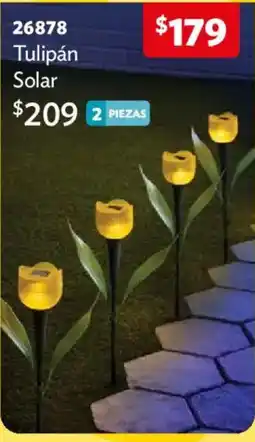 BetterWare Tulipán Solar oferta
