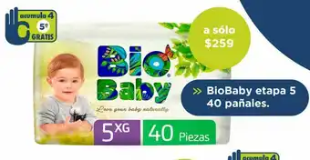 Farmacia San Pablo Pañales bio baby etapa 5 40 pañales oferta