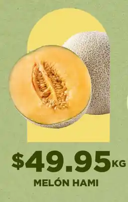 HEB melón hami oferta