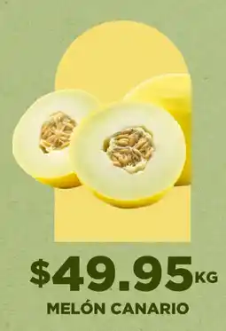 HEB melón canario oferta