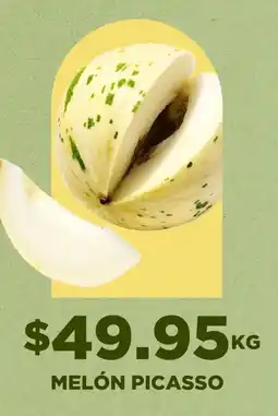 HEB melón picasso oferta
