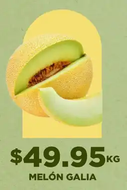 HEB melón galia oferta