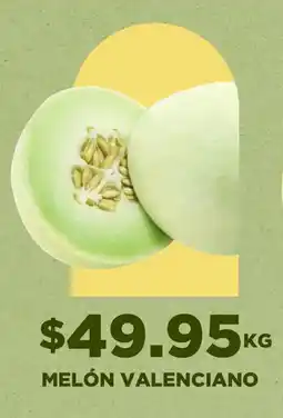 HEB melón valenciano oferta
