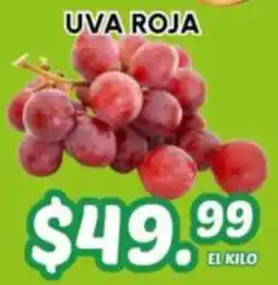 Guajardo uva roja oferta