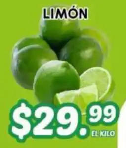 Guajardo Limón oferta