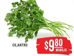 Soriana Híper Cilantro oferta