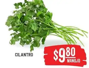 Soriana Híper Cilantro oferta