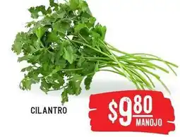 Soriana Híper Cilantro oferta