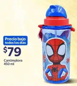 Walmart Cantimplora oferta