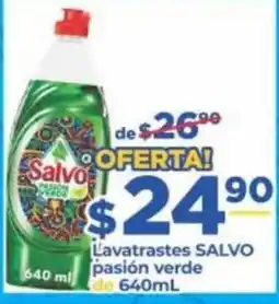 Super Gutiérrez Salvo lavatrastes pasión verde oferta