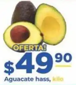 Super Gutiérrez Aguacate hass oferta