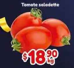 El Florido Tomate saladette oferta