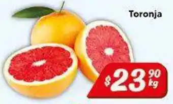 El Florido Toronja oferta