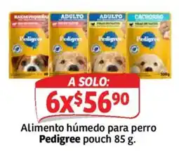 Soriana Mercado Pedigree Alimento húmedo para perro oferta